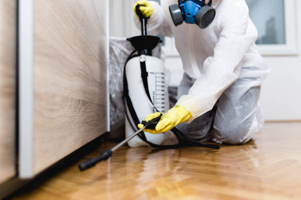 Best Local Pest Control Services  in Fort Washington, MD