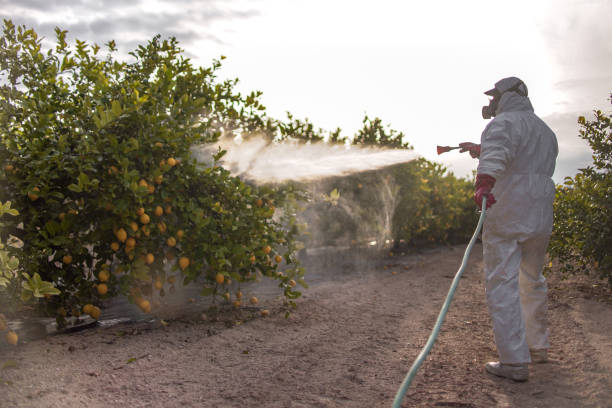 Best Emergency Pest Control  in Fort Washington, MD