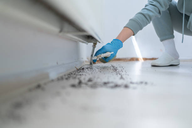 Pest Prevention Services in Fort Washington, MD